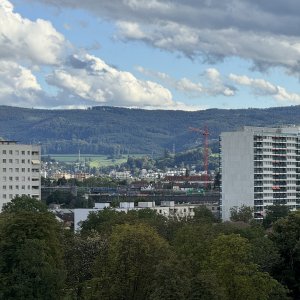 IMG_0024.jpg