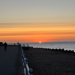 IMG_8651.jpeg