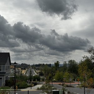 IMG_8243.jpeg