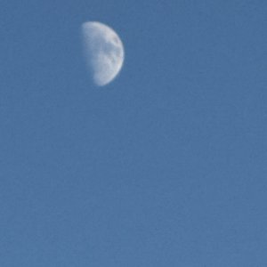 IMG_0074.jpeg