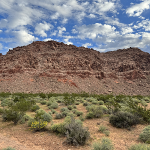 Red Rock 1.png