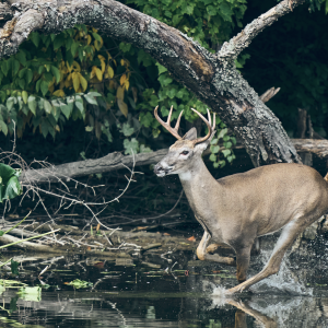 Screenshot 2023-09-24 at 1.25.00 AM.png