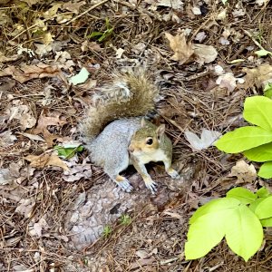 IMG_5264.jpeg