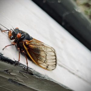 2021-05-19 18.56.16-1.jpg