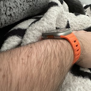 IMG_2404.jpeg