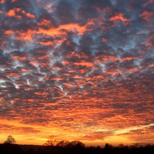 Sunset.jpg