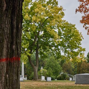2023-09-23 ~ _R5_6140.jpg