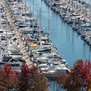 Seattle_IMG_1478.jpg