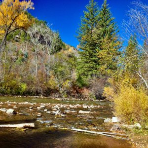 AutumnStream01.jpg