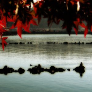Seattle_IMG_1970a.jpg