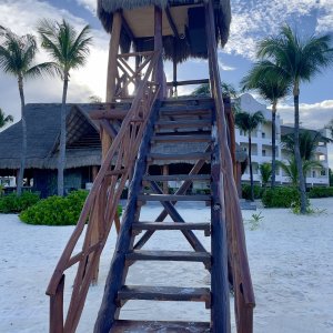 IMG_3816.jpeg