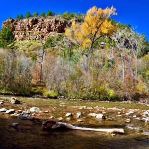 AutumnStream02.jpg