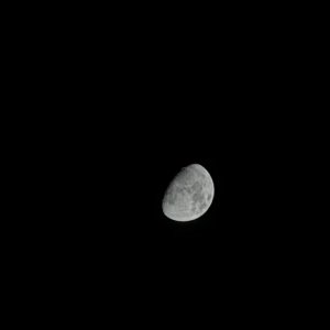 IMG_7175.jpg