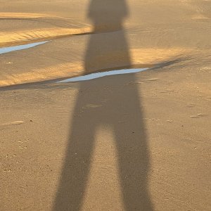 IMG_5412.jpeg