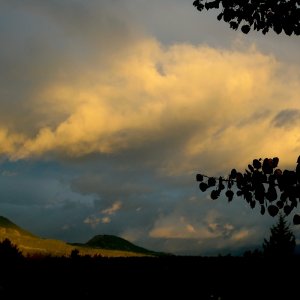P1030398.jpg
