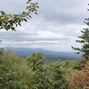 IMG_1630.jpg