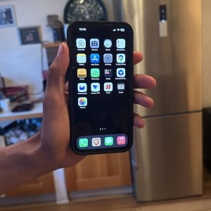IMG_5964.jpeg