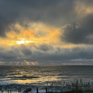 IMG_5606.jpeg