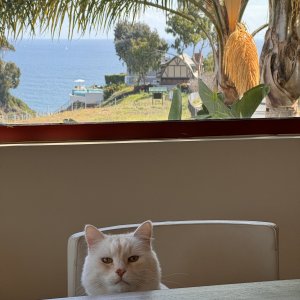 IMG_0076.jpeg