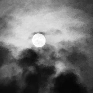 IMG_2110.jpeg