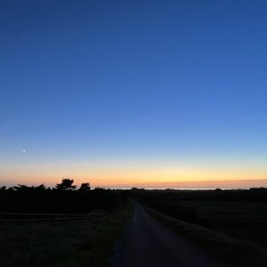 IMG_5309.jpeg