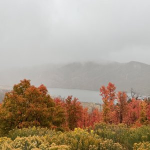 IMG_2526.jpeg