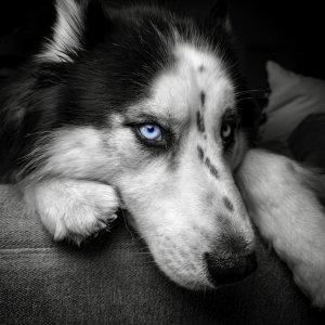 IMG_2380.jpeg