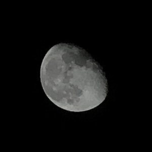 IMG_0586.jpeg