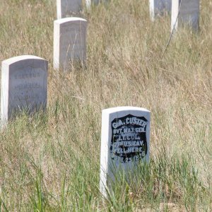 SD_IMG_1711.jpg