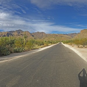 IMG_4277.jpg