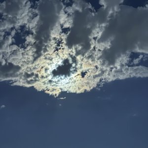 IMG_4349.jpeg
