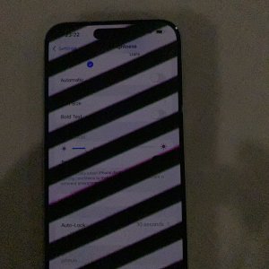 IMG_1473.jpeg