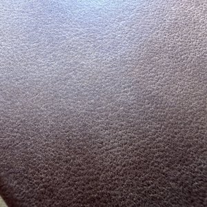 IMG_0791.jpeg