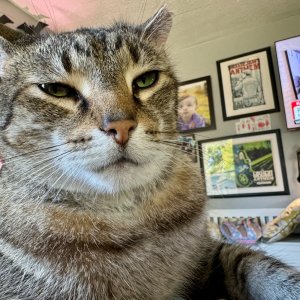 IMG_3775.jpeg