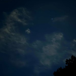 IMG_6102.jpeg