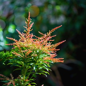 P52 Outdoors  October  - 1 (3).jpeg