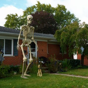 _a_web-halloween-2023-Oct-01-Sat.jpg