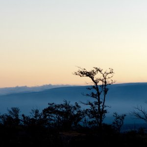 Hawaii_IMG_9611.jpg