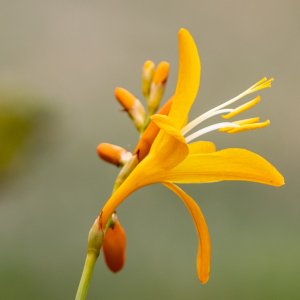 IMG_2276.jpg