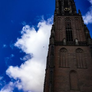 IMG_6483.jpg