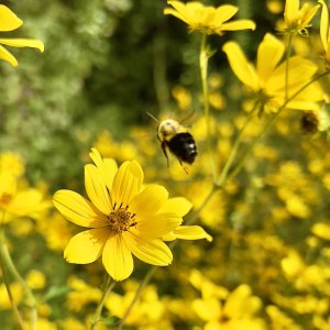 IMG_6618.jpg