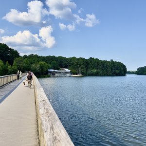 IMG_5831.jpg