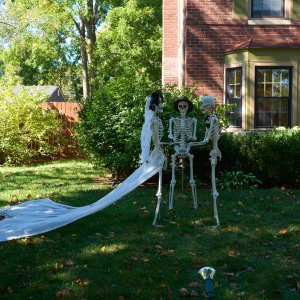 web-halloween-2023-Oct-10-Sun.jpg
