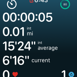Simulator Screenshot - Apple Watch Series 9 (45mm) - 2023-10-14 at 18.43.05.png