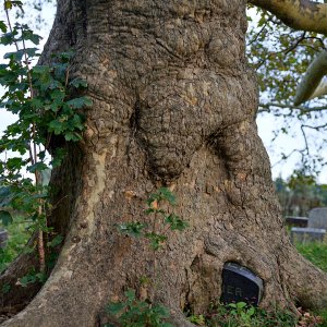 2023-10-18 ~ _R5_2657.jpg