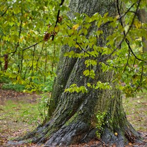 2023-10-20 ~ _R5_2973.jpg