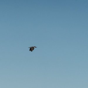 Wetlands Oct 2023 - 2500px-10.jpg