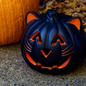 Another Black Kitty for Hallowe'en!.jpeg