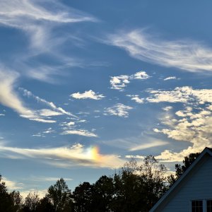 IMG_6845.jpg