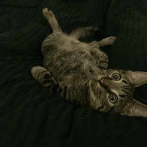 IMG_0649.jpeg